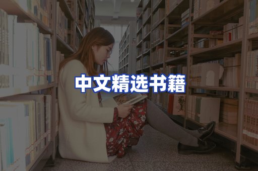 中文精选书籍